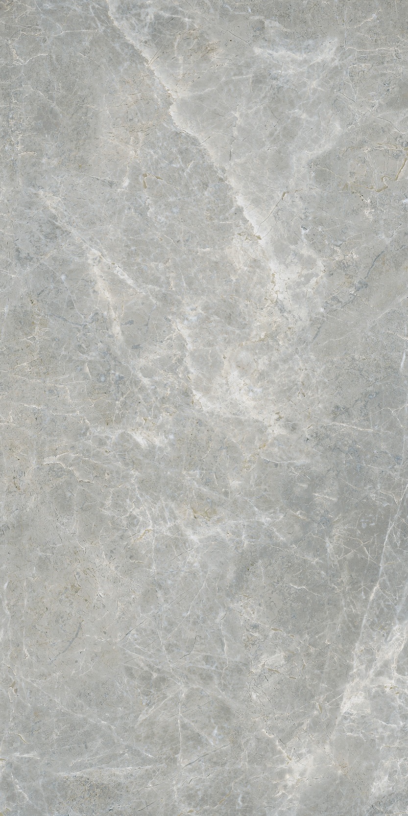 Canova 60x120 Grey f04