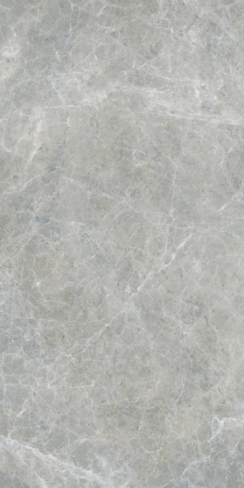 Canova 60x120 Grey f05