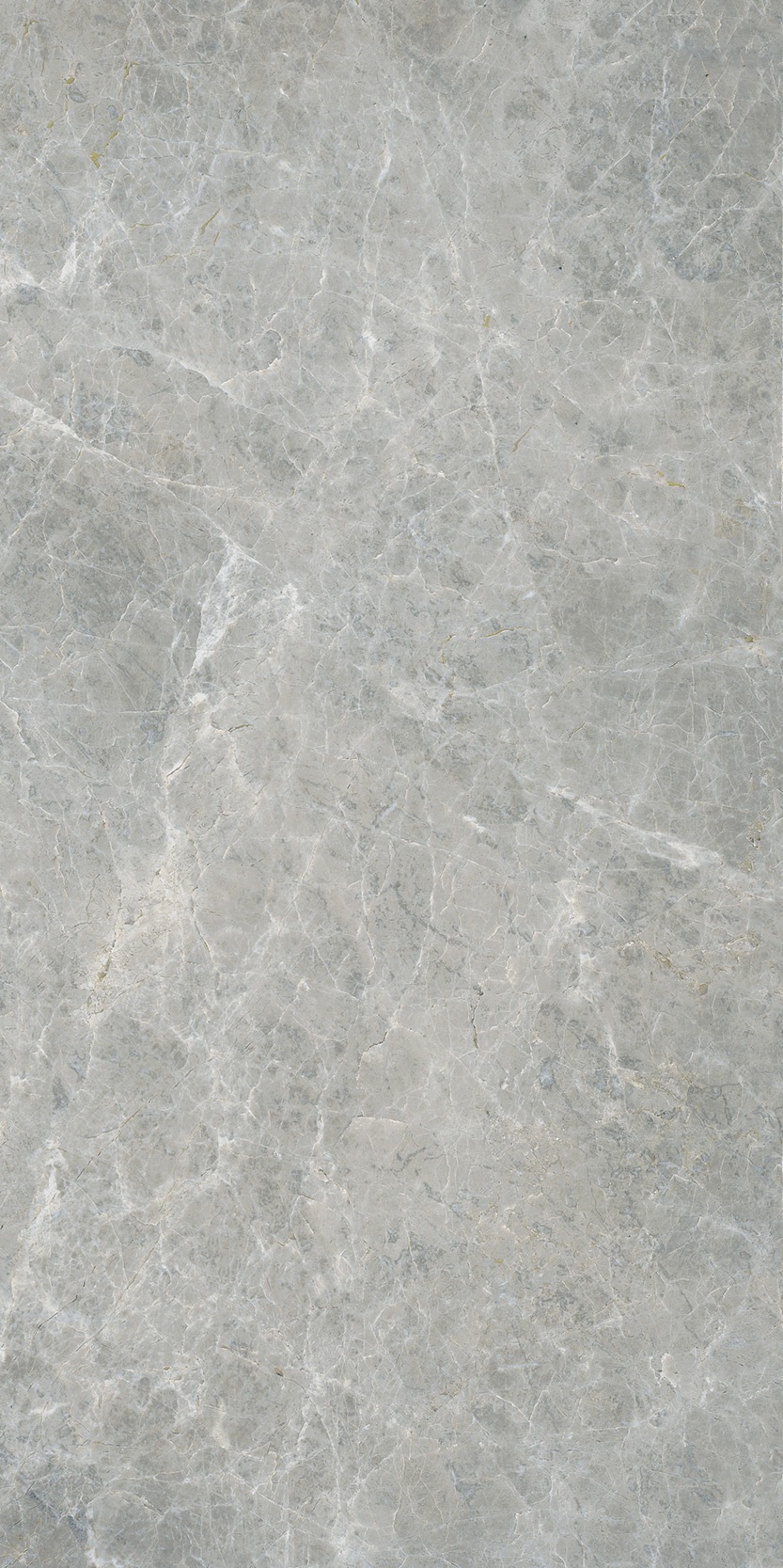 Canova 60x120 Grey f06