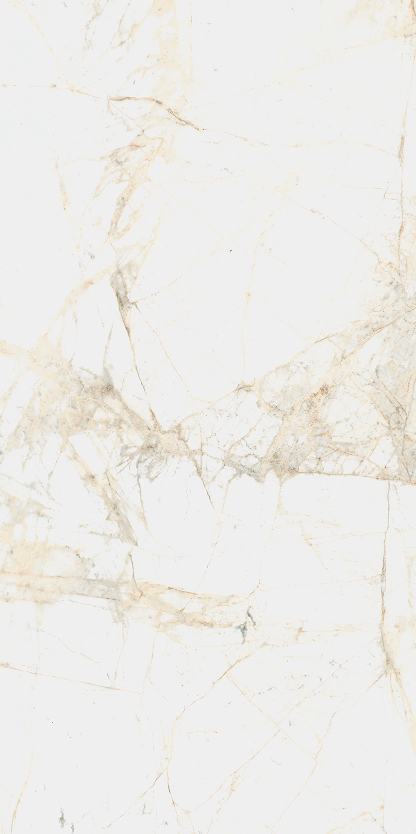 Canova 60x120 White f01