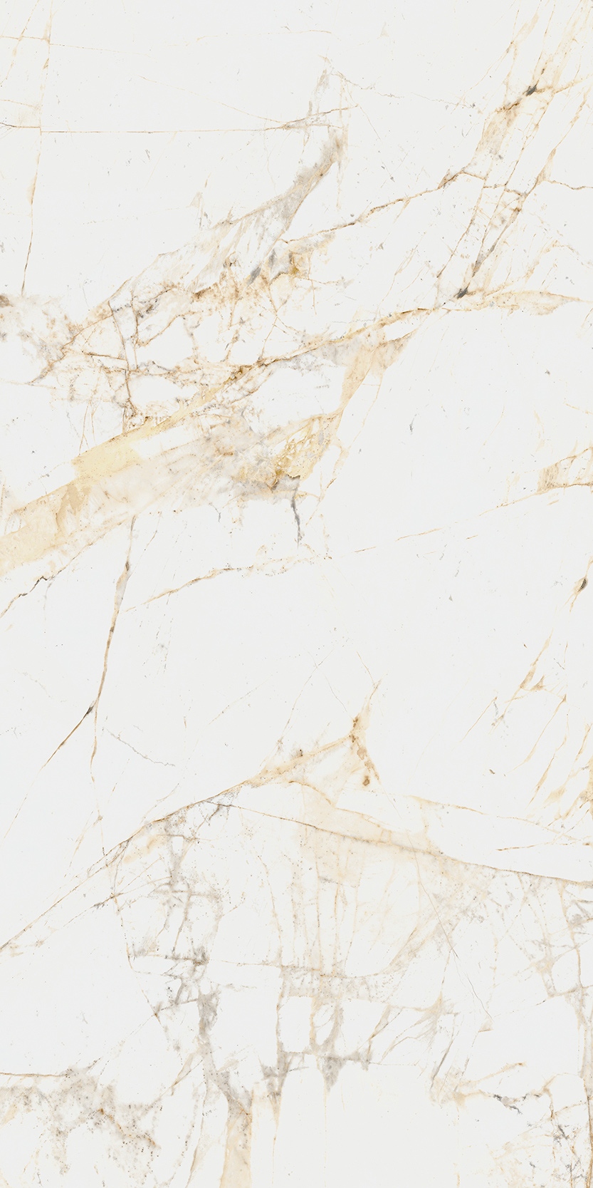 Canova 60x120 White f04