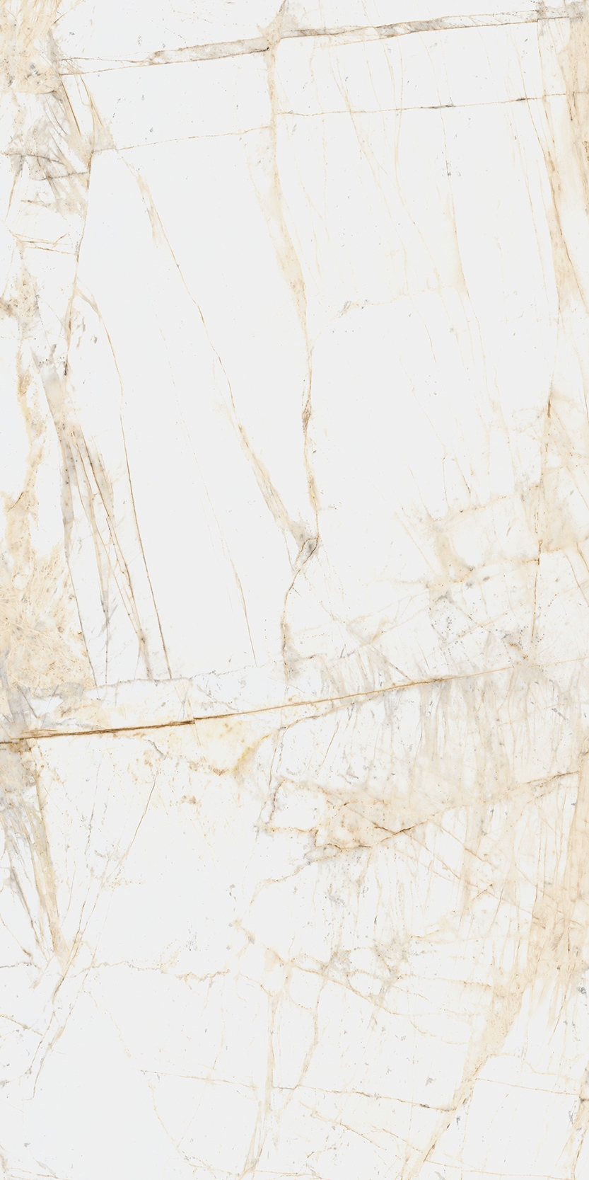 Canova 60x120 White f05