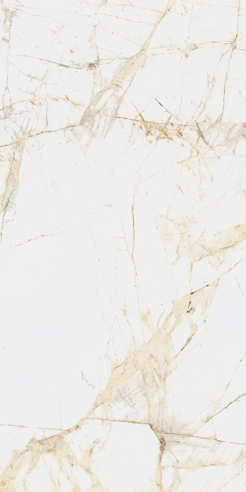 Canova 60x120 White f06