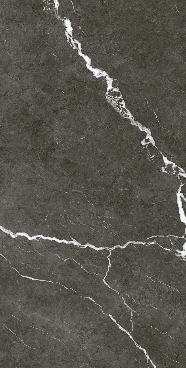 Michelangelo 60x120 DARK f04