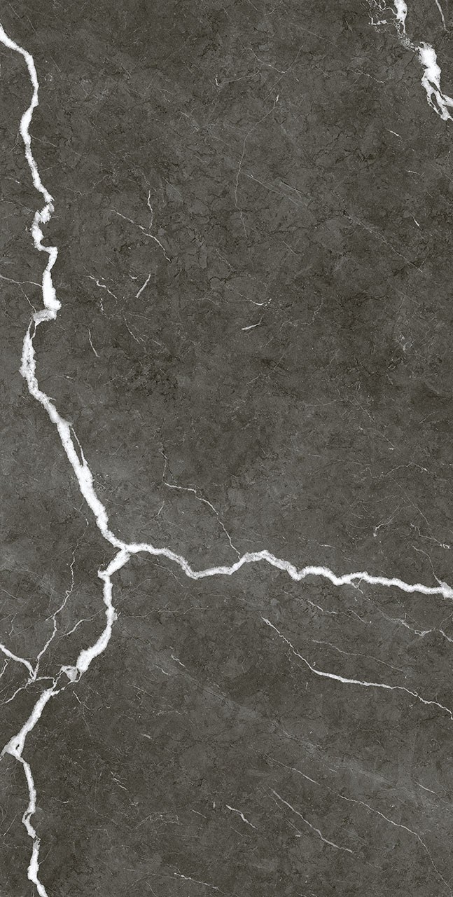 Michelangelo 60x120 DARK f06